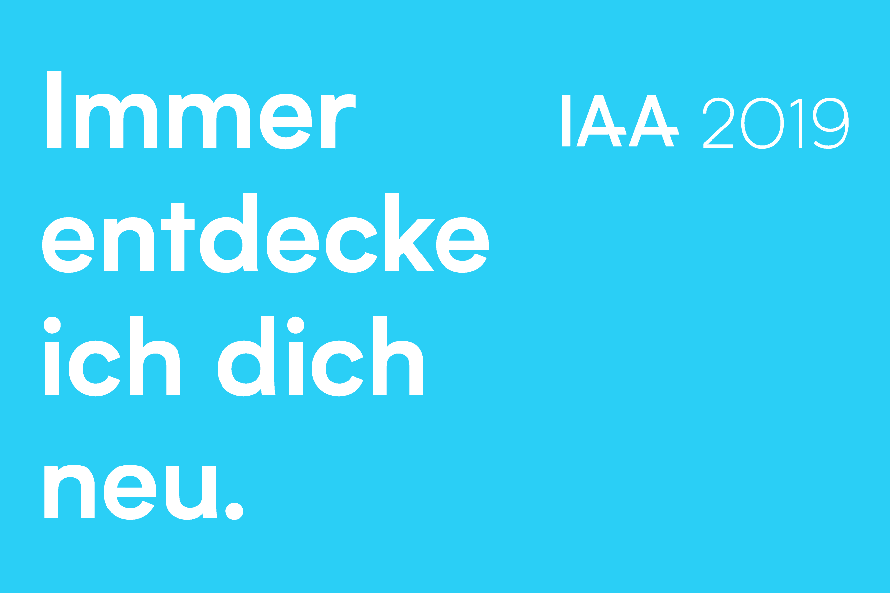 IAA Experience